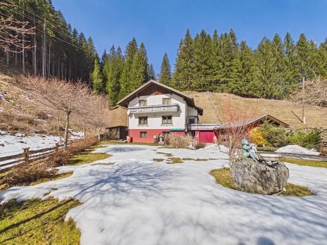 Großzügiges Haus mit Garten & Bergblick Nähe Turracher Höhe & Bad Kleinkirchheim