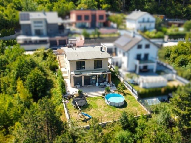 Großzügiges Wohnen in Hanglage: Modernes Haus mit viel Freiraum