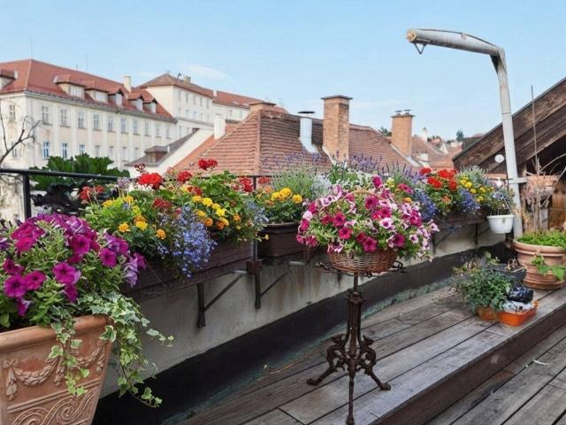Großzügiges Wohnen über den Dächern von Krems – mit Dachterrasse und Altstadtflair