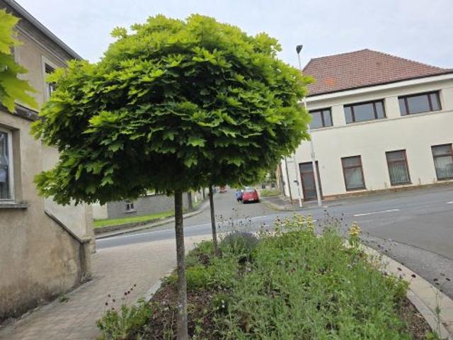 Großzügiges Wohnhaus in 96126 Ermershausen / Haßfurt ID 10536