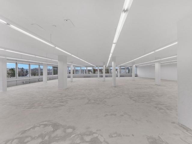 Grosszügige Gewerbefläche mit 1'000 kg/m² Bodenlast!