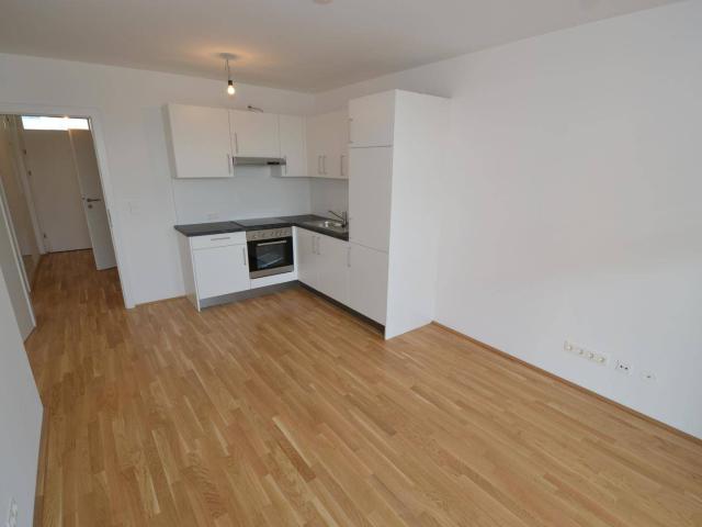 Graz Liebenau großer Balkon Penthouse Charakter 2 extra Schlafzimmer