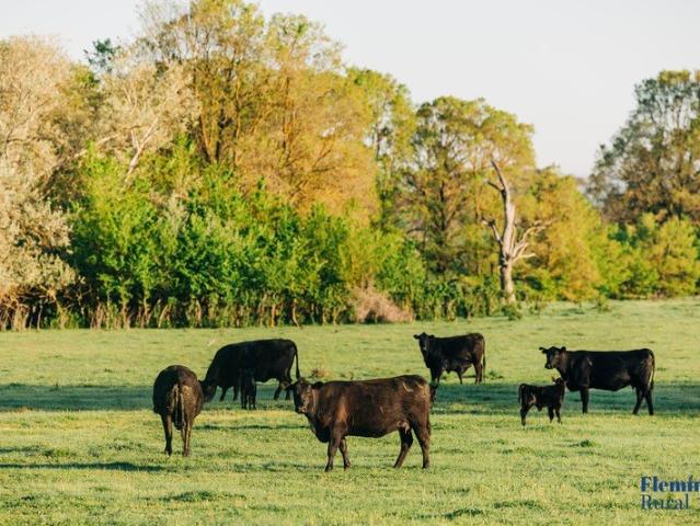 Grazing and Lifestyle Block in the Bowning District
