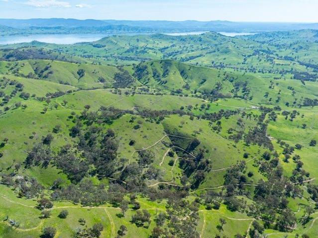 GRAZING BLOCK CLOSE TO BETHANGA