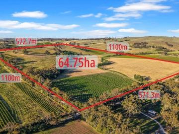 Grazing / Cropping/ Vineyard in the heart of the Valley