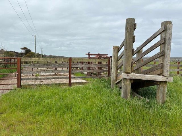 Grazing Land Opportunity