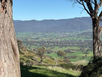 Grazing & Panoramic Views in the Kiewa Valley