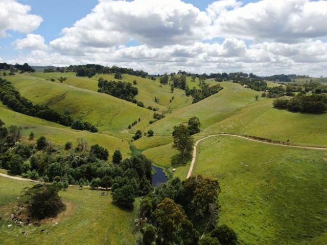 Grazing | Turnout Block | 181 acres approx