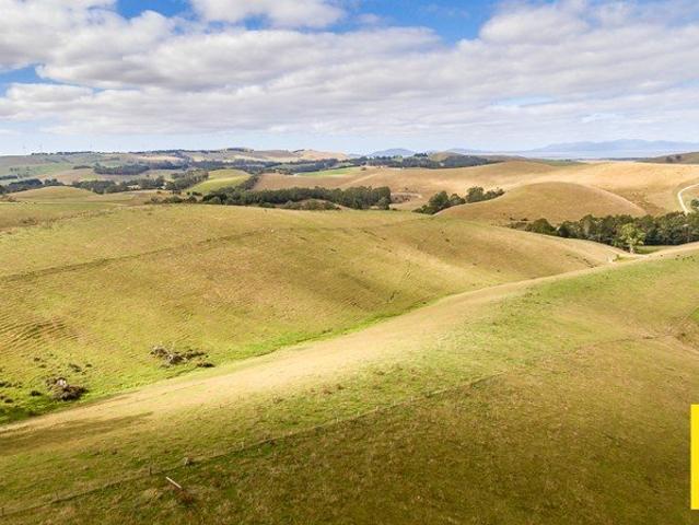 Grazing / Turnout Block Toora