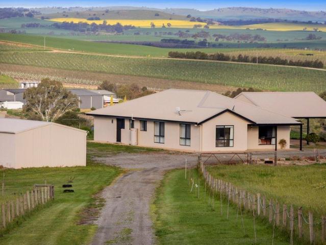 Grace Yourself with Grand 30 Acre Vineyard Views