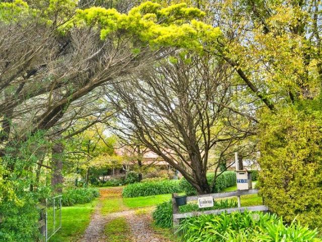 Gracious Lambrigg