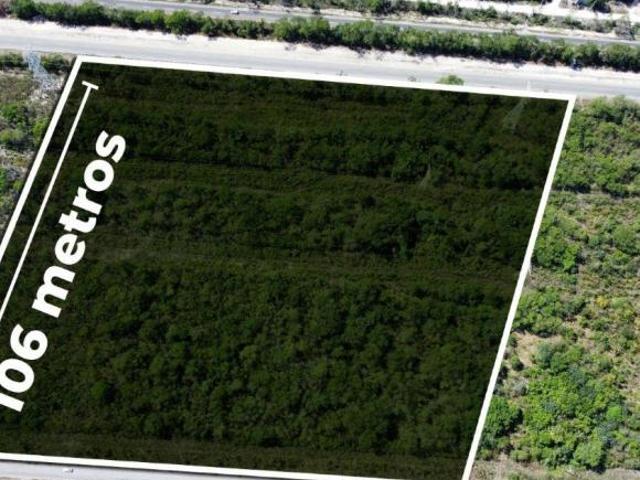 GRAN OPORTUNIDAD DE INVERSIÓN – TERRENO SOBRE CARRETERA FEDERAL CANCÚN LEONA VICARIO