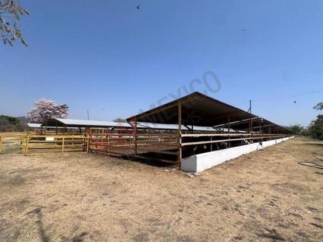 Gran Oportunidad de Inversión en Rancho Ganadero en Cuernavaca, Morelos – Precio Reducido