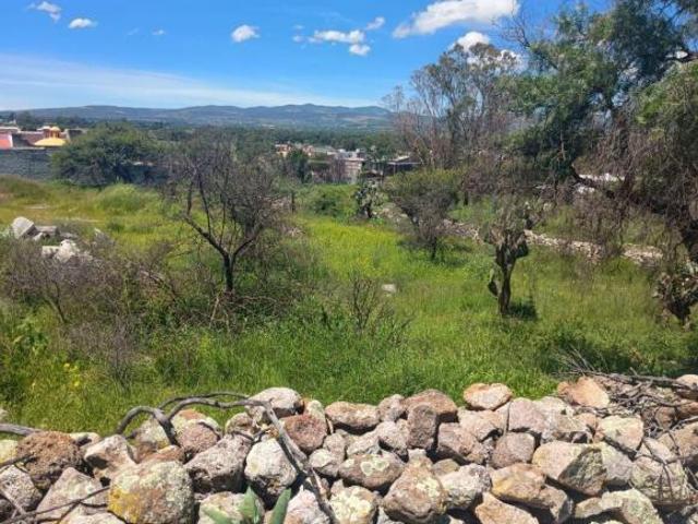 ¡Gran oportunidad de inversión en San José Iturbide de 255 m2