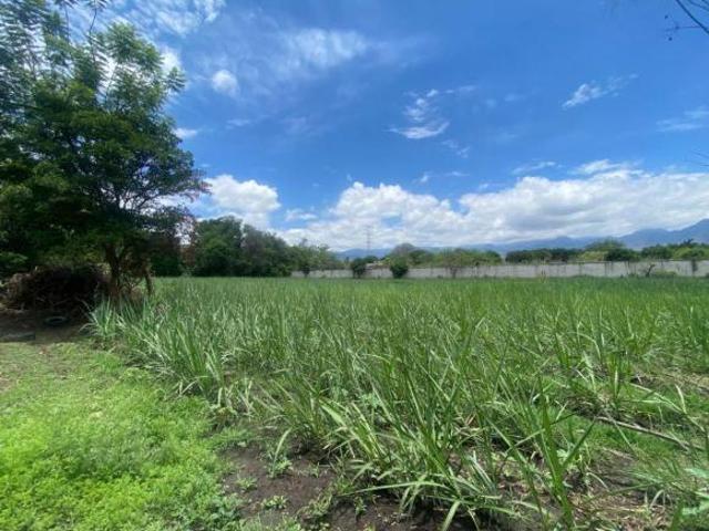 Gran oportunidad de terreno en Yautepec