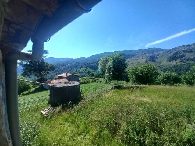¡Gran Oportunidad en Bustablado! Dos Casas Pareadas Conectadas con Tejado y Estructura Nuevos