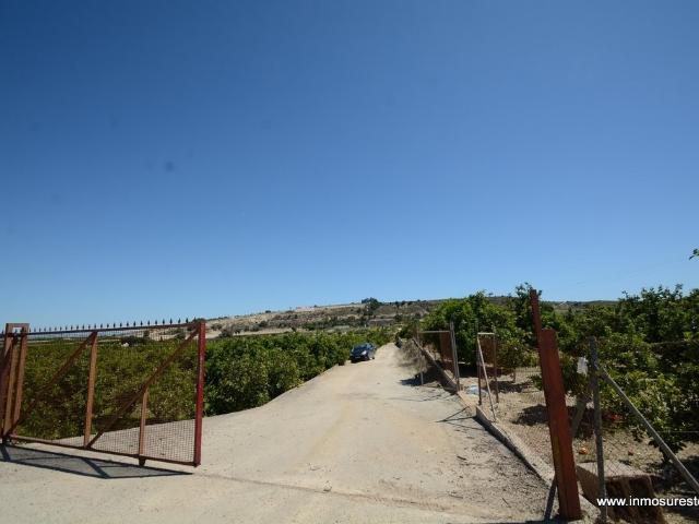¡ GRAN OPORTUNIDAD ! Finca rústica plantada de naranjos en Jacarilla, 40.000 m2. de superficie
