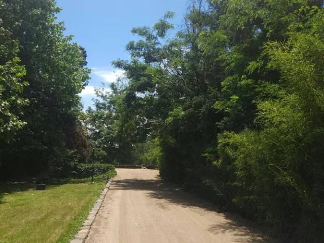 Gran Oportunidad Para Inversionistas Parcela Parque | 6 dormitorios por 65000.00 en Mostazal