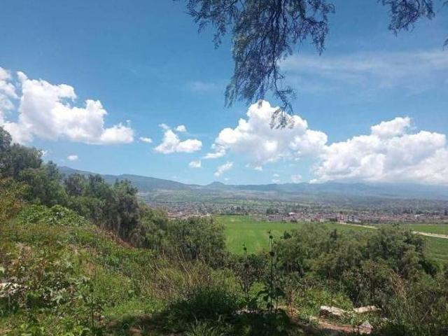 ¡GRAN OPORTUNIDAD! TERRENO DENTRO CLUB DE GOLF EL CORAL