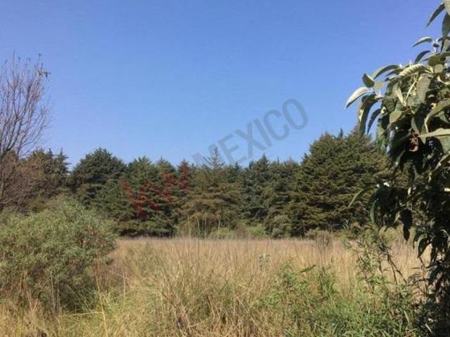¡Gran Oportunidad! Terreno Industrial en Venta en Almoloya de Juárez Excelente Ubicación