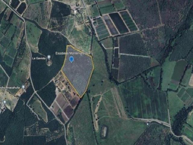 GRAN OPORTUNIDAD VENTA DE TERRENO MONTEMORELOS