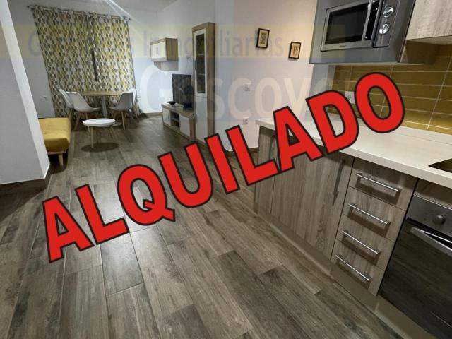 GRAN APARTAMENTO, DOS DORMITORIOS, TERRAZA Y PARKING