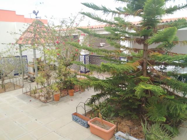 GRAN CASA CON JARDIN Y TERRAZA EN ADRA