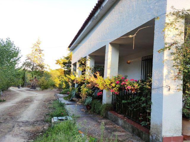 GRAN CASA DE CAMPO EN FINCA DE 1 ha EN BEAS HUELVA