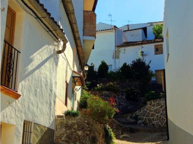 GRAN CASA DE PUEBLO CON OLIVAR