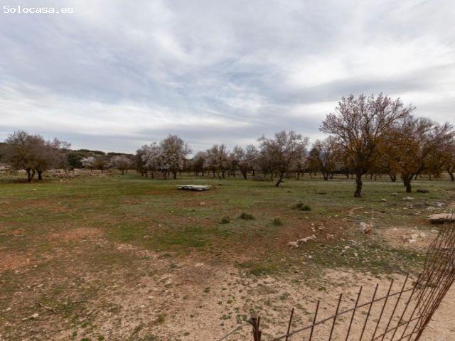 Gran finca en Pilas de Dedir!