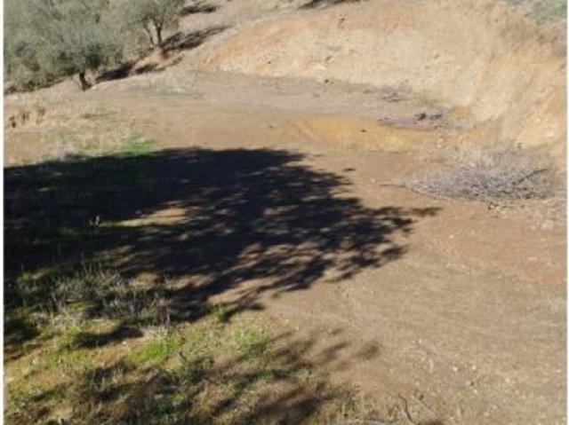 Gran finca rústica de 7.000m2 en Riogordo!