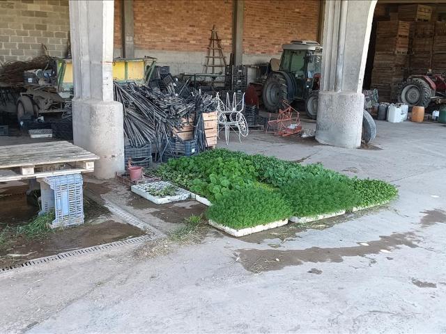 Gran Finca Rústica en Lleida, ¡Oportunidad Única de Recuperación!