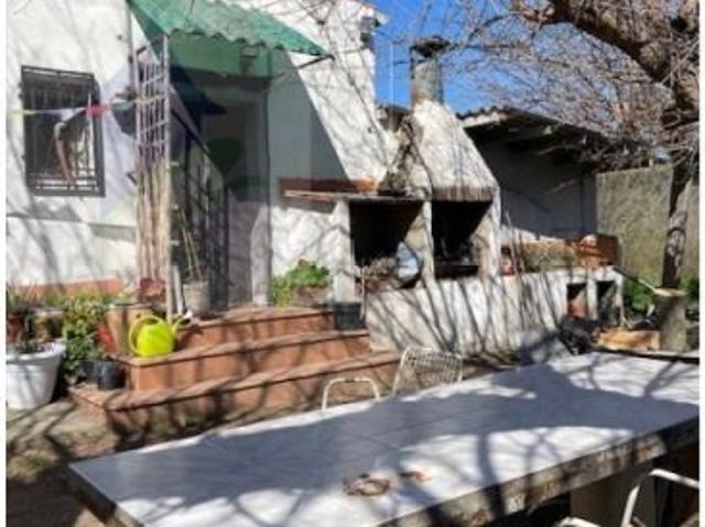 Gran finca rustica en Riudoms