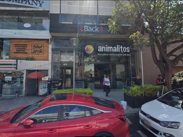 Gran local sobre la prestigiosa Prado Norte