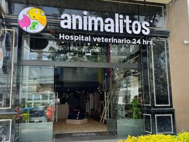 Gran local sobre la prestigiosa Prado Norte