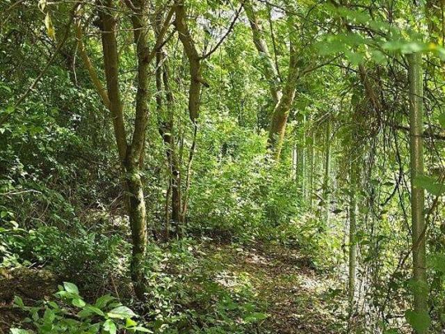 Gran Lote de Terreno en Venta, Valladolid, “Pueblo Mágico”