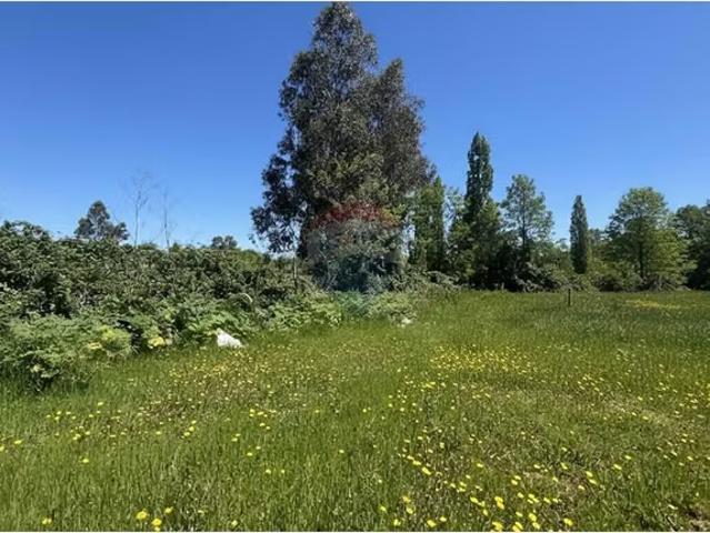 Gran parcela en longavi | 1 dormitorios por 49000. 00 en Longaví