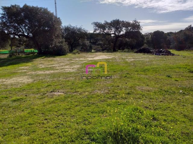 GRAN PARCELA EN MANANTÍO!