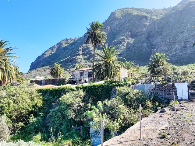 Gran terreno agrícola con una casa histórica canaria a la venta