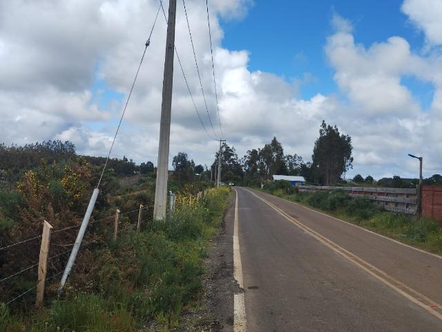 Gran terreno de 33 hectáreas en sector Pehuén, Lebu