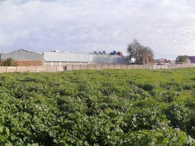 GRAN TERRENO EN CENTRO DE QUILLOTA V REGIÓN