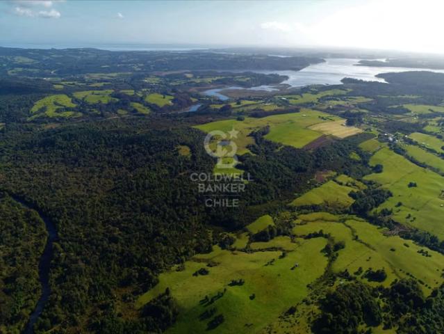 Gran terreno en venta Chiloé / Ancud | 0 dormitorios por 24000.00 en Ancud