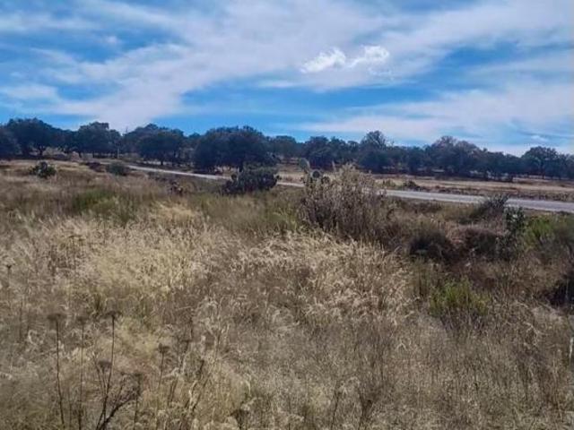 Gran Terreno en Venta en Amealco 65,000 m² Ideal para Desarrollo o Rancho
