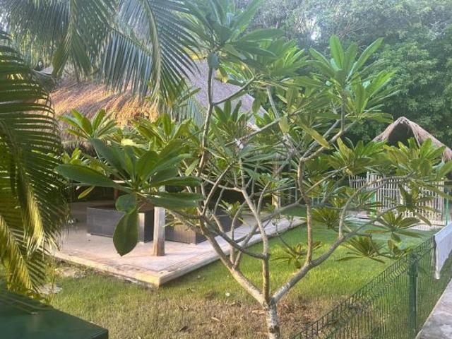 Gran Terreno en Venta Residencial Selvamar