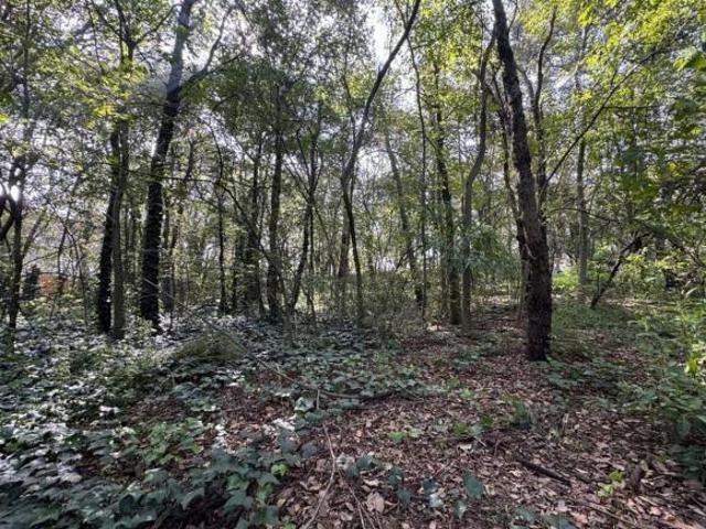 Gran terreno en venta Tlalpuente