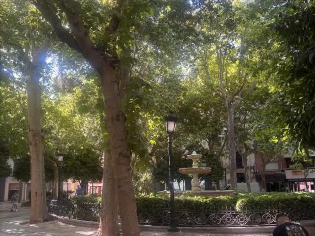 Granada
