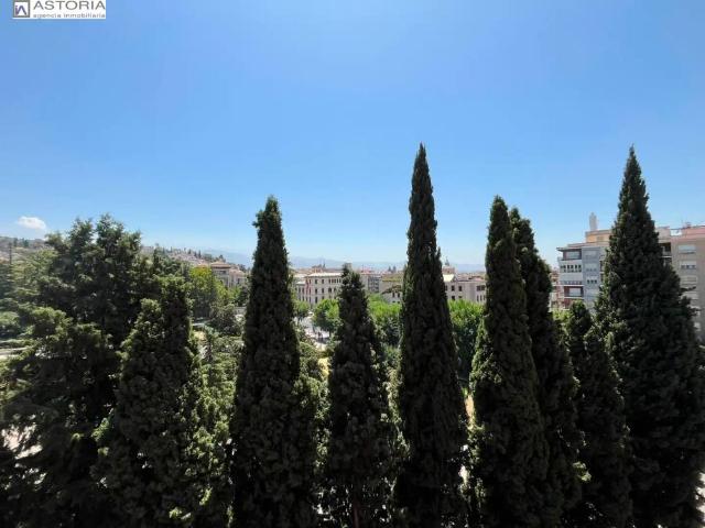 Granada