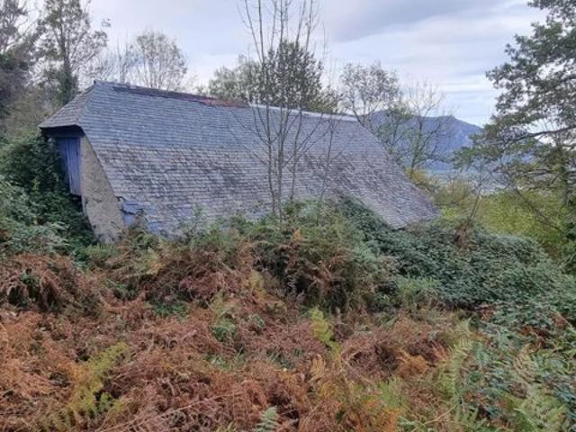 Grange à rénover sur plus de 3 hectares Proche ARGELES GAZ