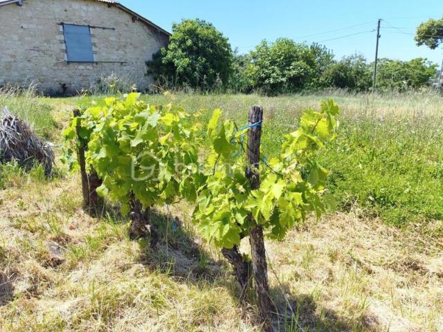 Grange en pierres, avec terrain