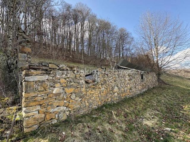 Grange Foraine en Ruine avec terrain sur Campan
